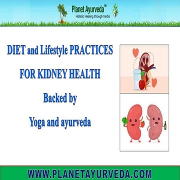 Diet and Lifestyle Practices for Kidney Health Backed By Yoga and Ayurveda