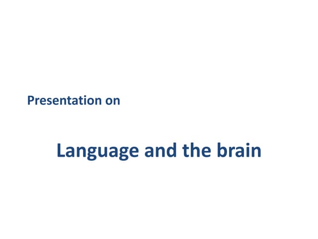 Presentation on language and the brain