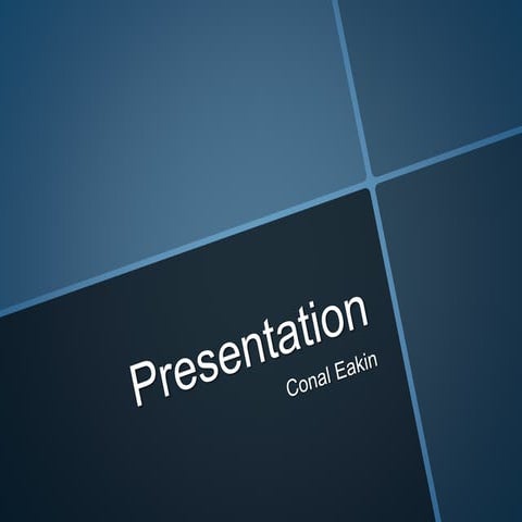 CW2 Presentation Online Identity