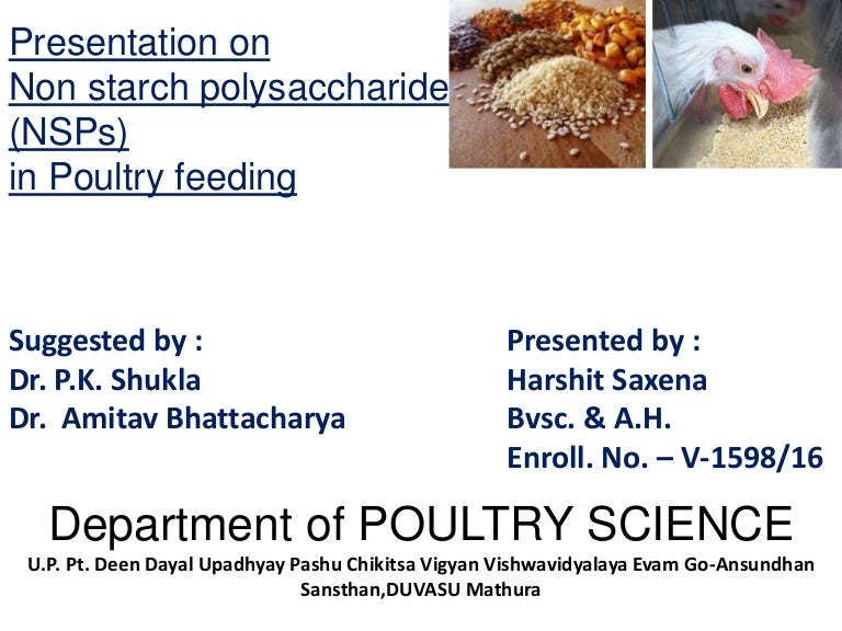 Presentation on Non starch polysaccharides in poultry final osr