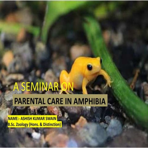Presentation on Parental care in Amphibians