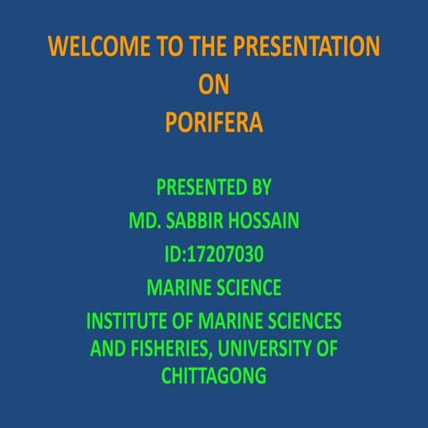Presentation on porifera
