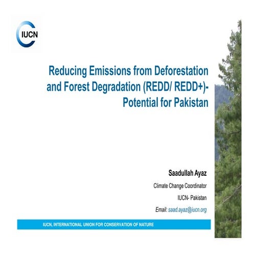 Presentation on REDD application for Pakistan Saadullah Ayaz