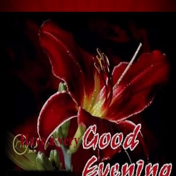 Presentation  on slang, jargon & tabbo words used in Bangla language