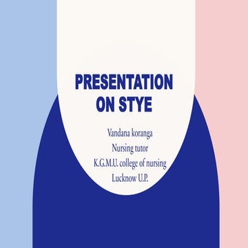 Presentation on stye...pdf