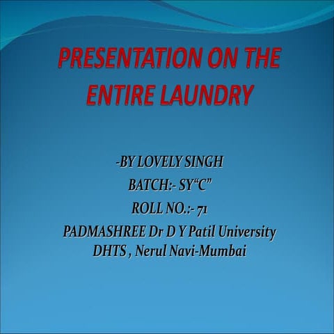 presentationontheentirelaundry1-120419081317-phpapp02.pdf