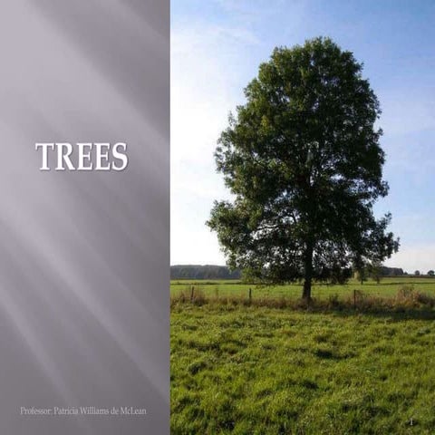 Presentation on trees | PPT