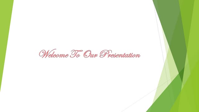 Presentation on uber, pathao, jd.com, alibaba