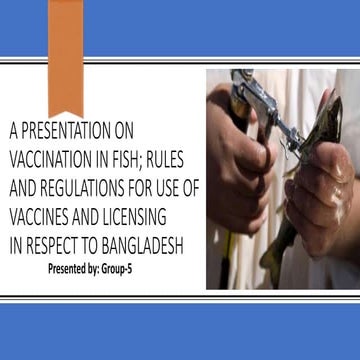 Fish Vaccination | PPTX