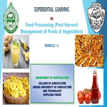 Presentation on  value  addition of horticultural crops