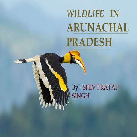 Presentation on wildlife in Arunachal pradesh