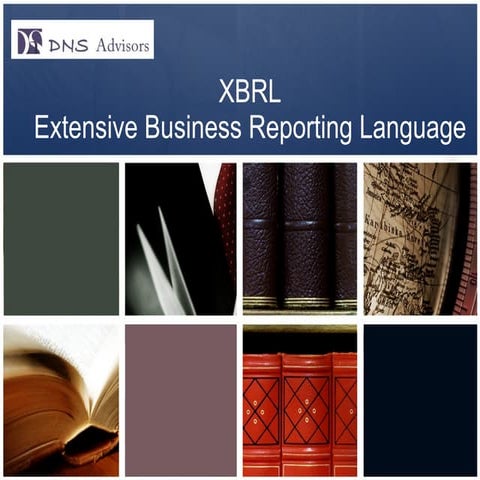 Presentation on xbrl   dns advisors