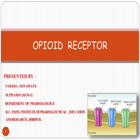 Presentation opoid