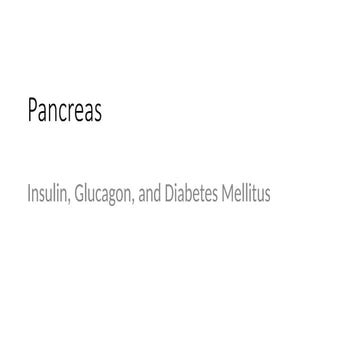 Presentation pancreas - powerpoint presentation | PPTX