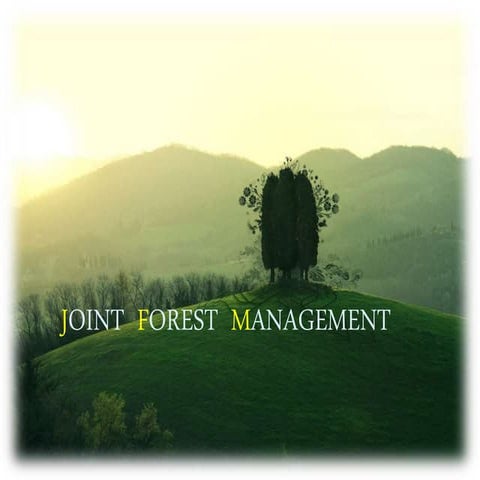 Joint forest management