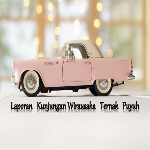 Laporan kunjungan Ternak Puyuh