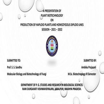 PRODUCTION OF HAPLOID PLANTS AND HOMOZYGOUS DIPLOID LINES