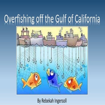 Presentation power point