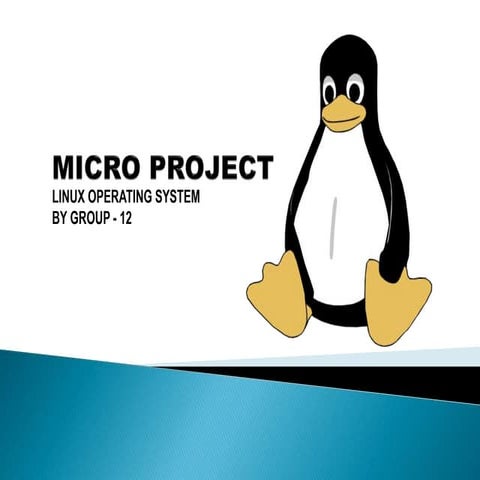 powe point presentation on kali linux and ethical hacking