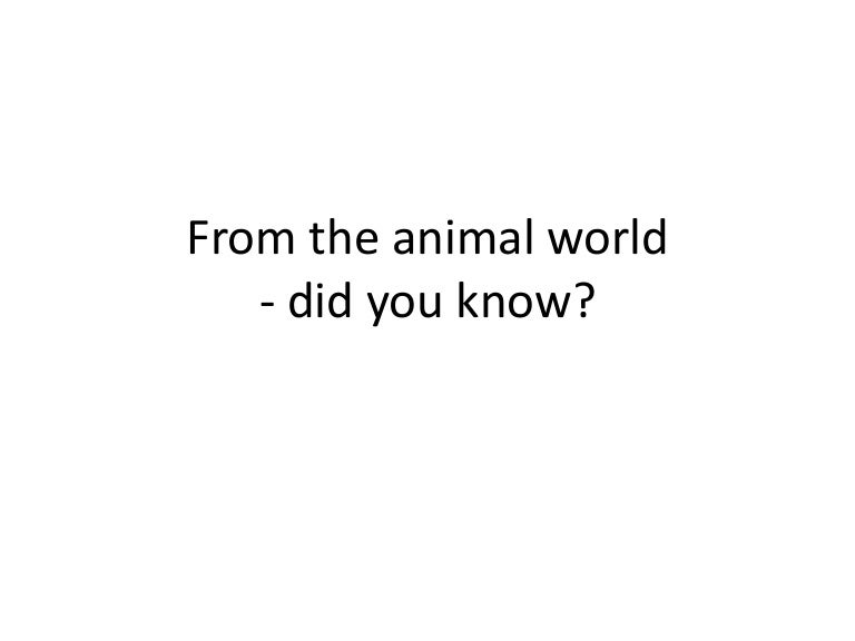 animal facts