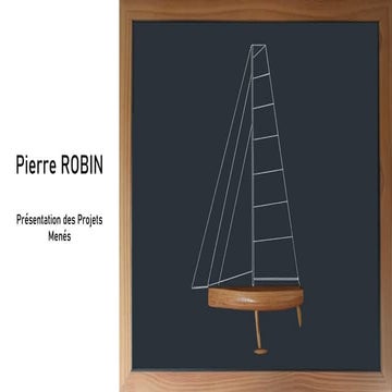 CV - Pierre ROBIN | PDF