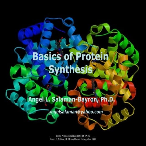 Presentation Protein Synthesis