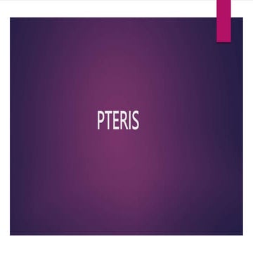 Pteris : features, anatomy, morphology and lifecycle