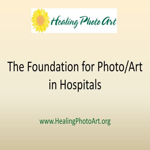 Presentation of Foundation to Rotary Club