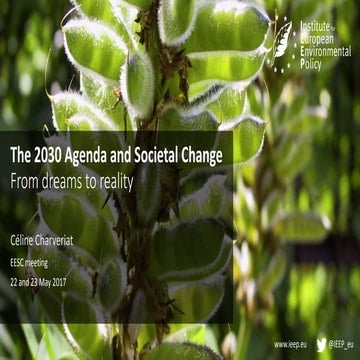 The 2030 Agenda and Societal Change