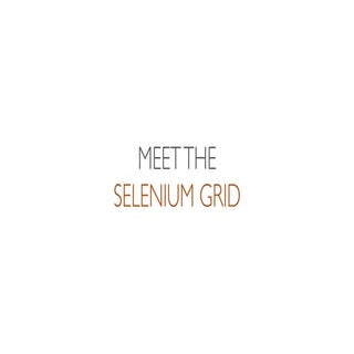 Meet the Selenium Grid