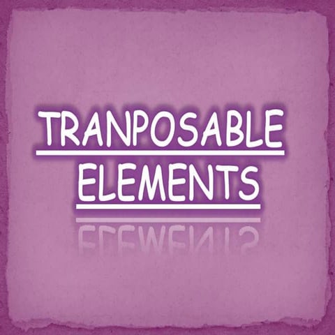 TRANSPOSABLE ELEMENTS