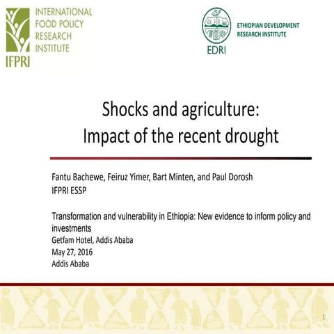 Shocks and agriculture:  Impact of the recent drought