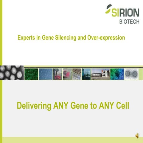 Genscript overview 030110[1] | PPT