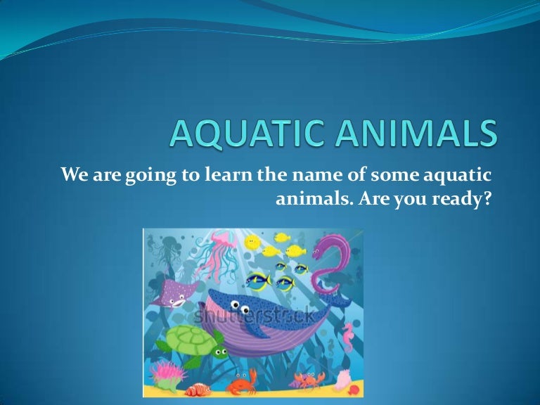 Aquatic animals