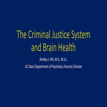 The Criminal Justice System and Brain Health