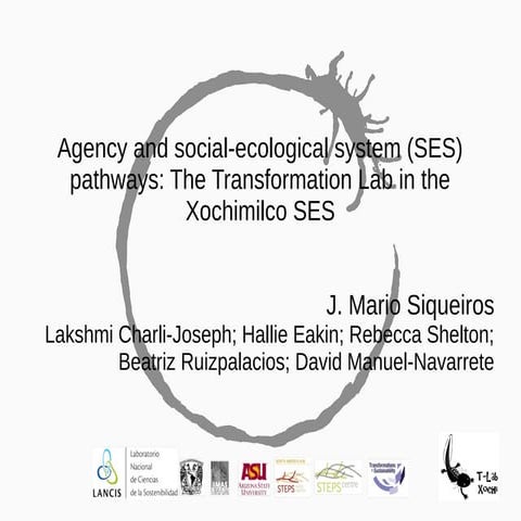 Agency and social-ecological system (SES) pathways: the Transformation Lab in the Xochimilco SES