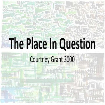 The Place In Question - Summary 