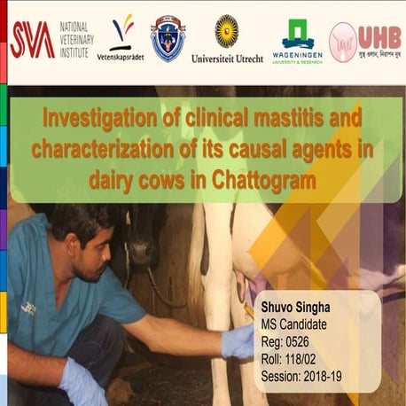 Investigation of clinical mastitis and characterization of its causal agents ...
