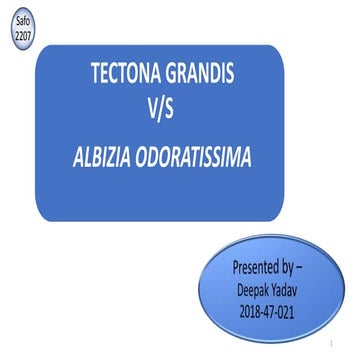 Teak ( Tectona grandis ) vs Balck siris ( albizia odoratissima )