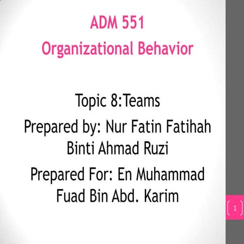 Organizational Behavior (TEAM)