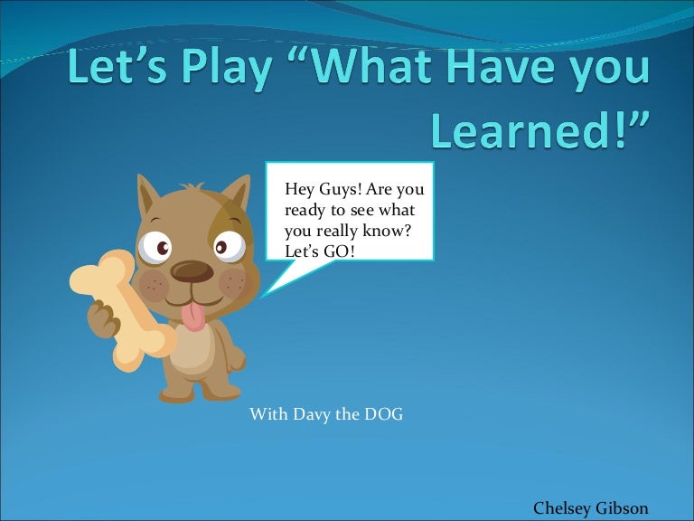 The Animal Kingdom Game