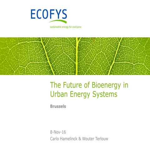 Presentation the future of bioenergy in urban energy systems