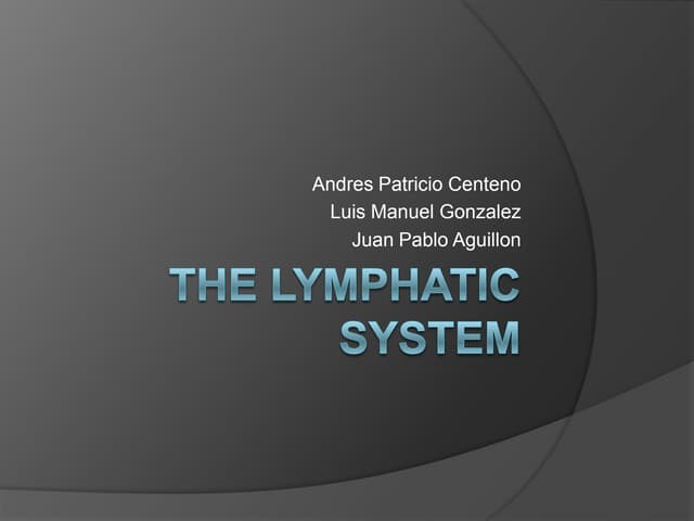 Presentation the lymphatic system