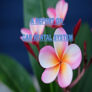 car rental system used to book cars in online mode