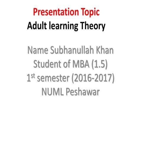 Adult Learning Theory 