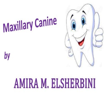 Presentation  Maxillary canine 
