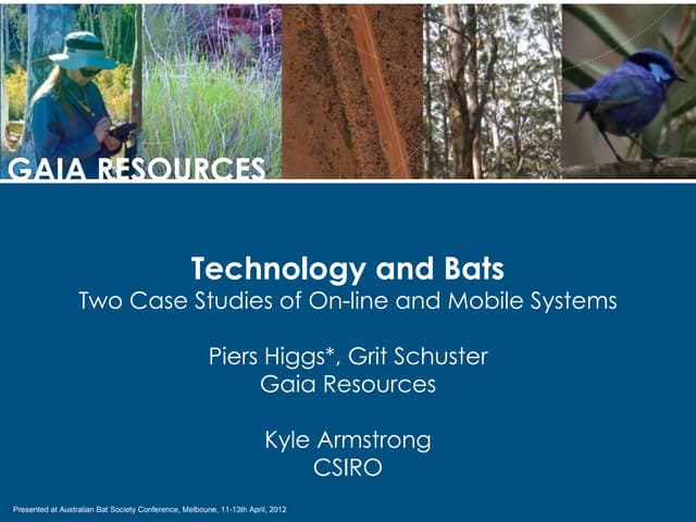 Bats and Technology