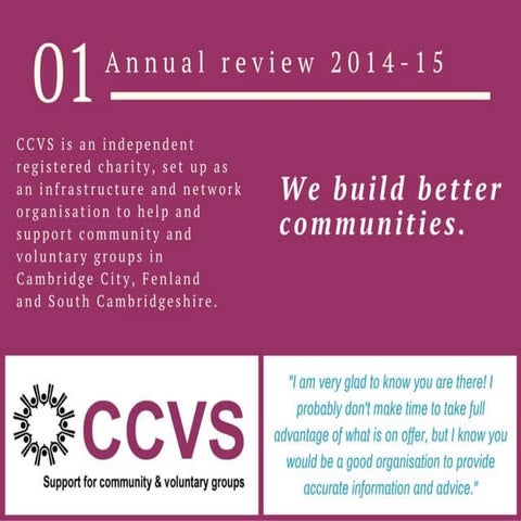 CCVS Annual review 2014-15 | PPTX