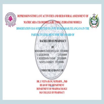 Presentation of pharmacy and tHJHGGTnology