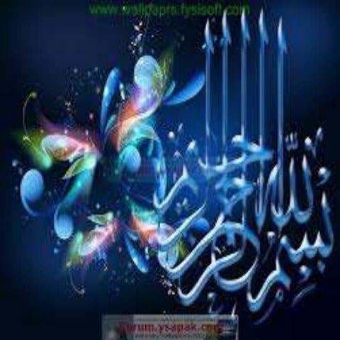 Presentation zadi, Origin of Language